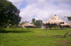 Tue, 06/01/2004 - 08:33 - Comunidad Embera, Panama