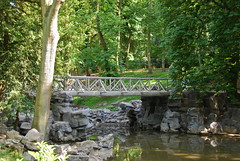 L'arbre et le pont rustique (Parc Josaphat -Bruxelles )