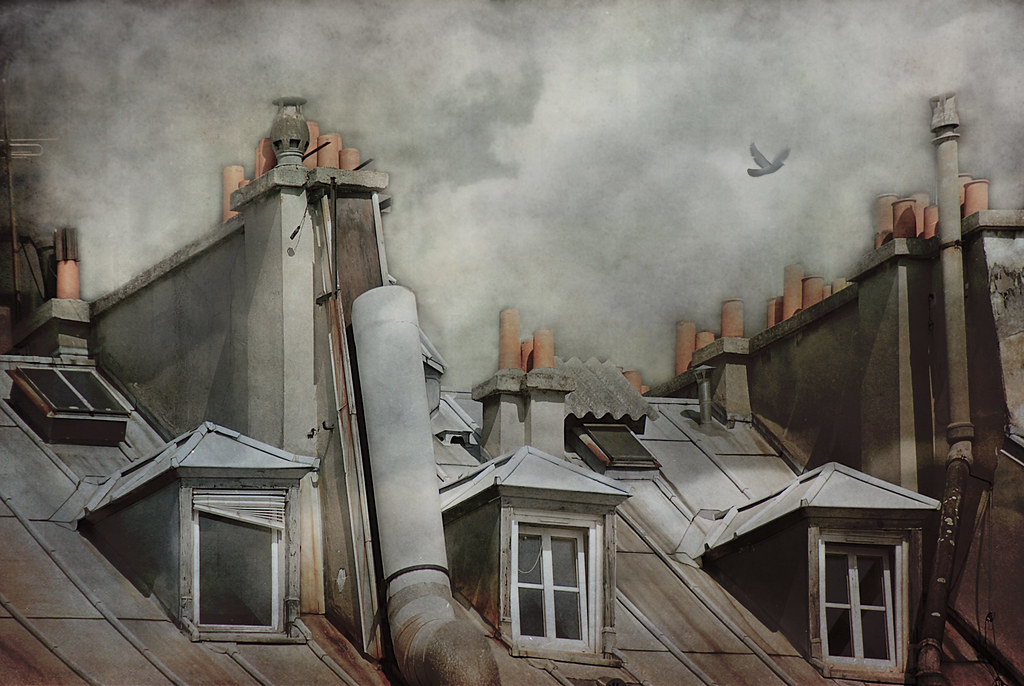 les toits de Paris by ixos