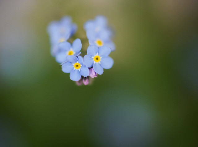 Don't forget me.