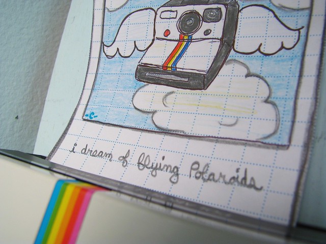 i dream of flying polaroids