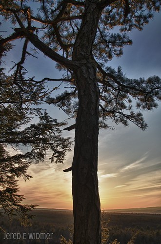 The Tree at Sunset by thebrightguy, Upstate New York
sunset sky newyork mountains tree nature colors clouds nikon quiet view hike pines 