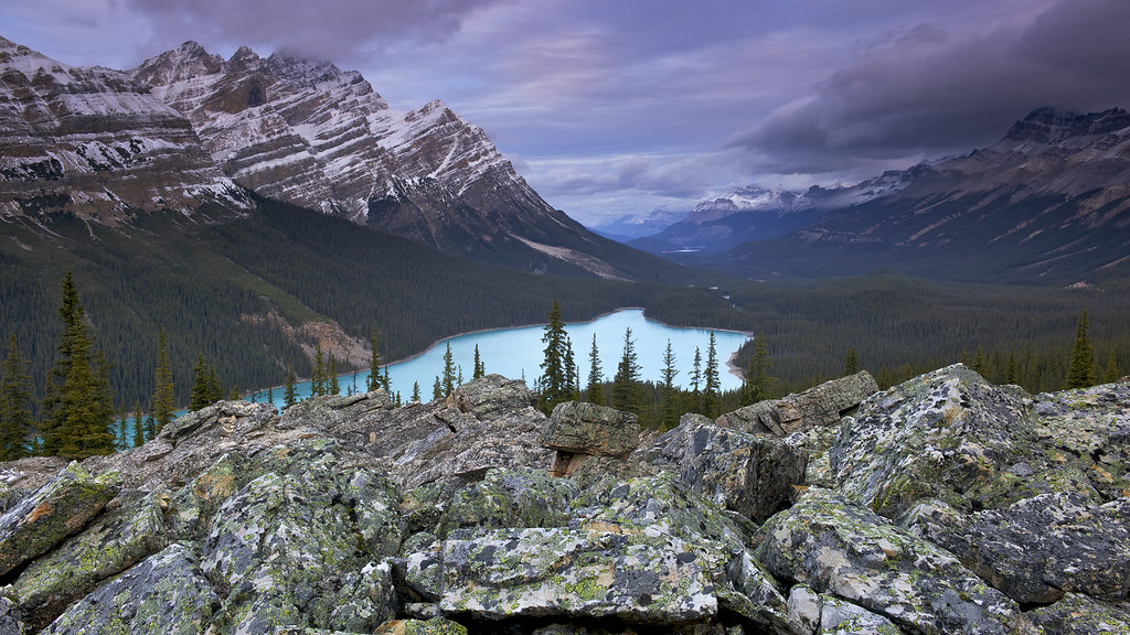 Peyto Lake from Bow Summit, Banff National Park, Alberta | Flickr