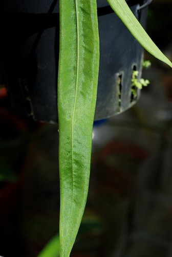 20110424297.jpg | by Li Weng Feng