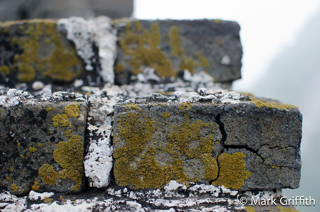 Brick in the Wall