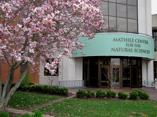 Mathile Center