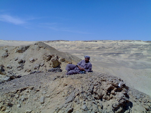 desert safari camel camps