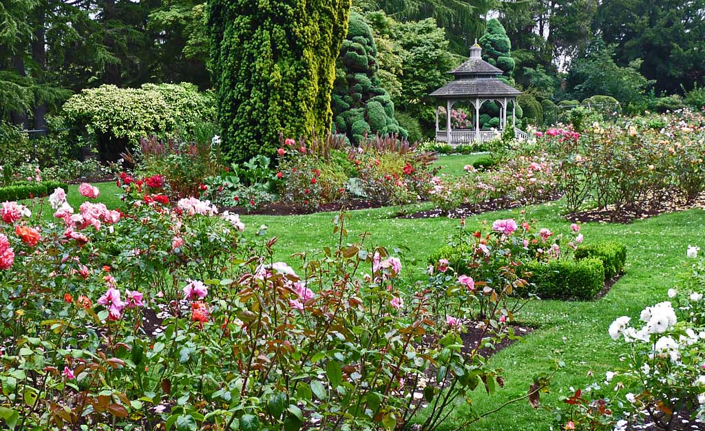 Woodland Park Rose Garden Scene 1 The Woodland Park Rose G Flickr