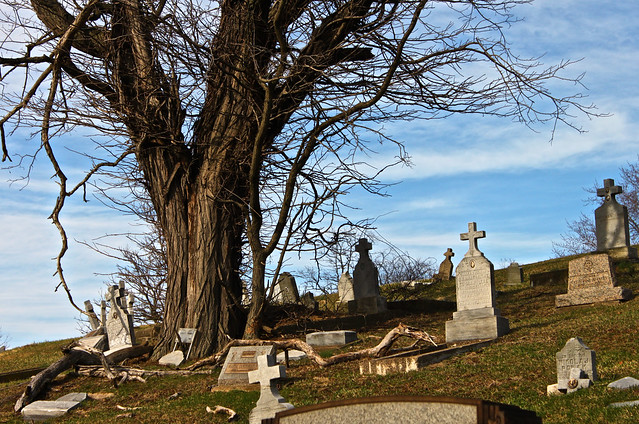 Broken | Monongahela Cemetery