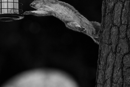 Take Off by dr ama