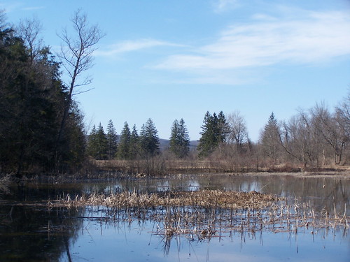 river education environmental center rogers ponds along chenango andyarthur