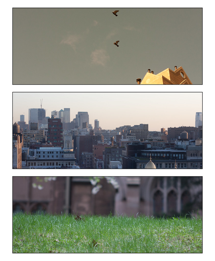 Triptych: pigeons over a roof, panoramic Manhattan skyline, and cemetery grass before a chapel.