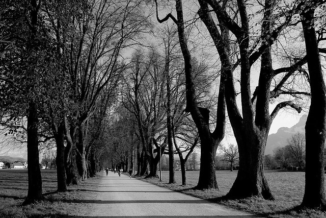 salzburg in black and white