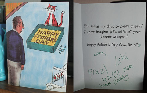 Father's Day from the cats | Blogged about on www.ourconcret… | Flickr