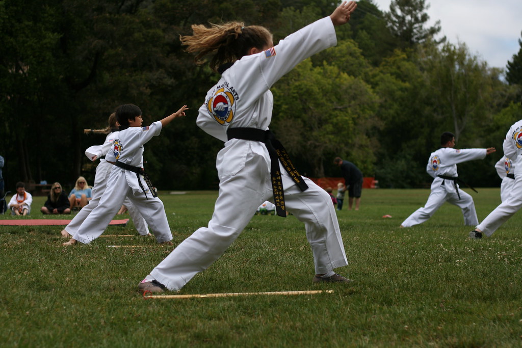Elite Martial Arts Black Belt Promotion June 13 2015 - a group of kids practicing karate in a park