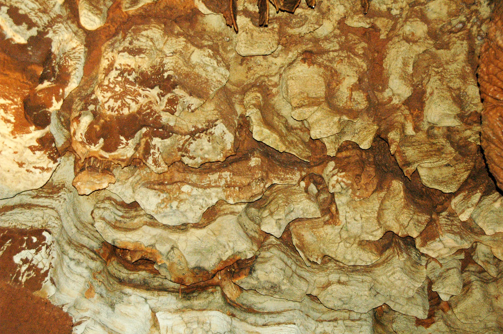 Anastomosing Rocks Anastomoses developed in dolostone (Diamond Caverns, Kentu… | Flickr