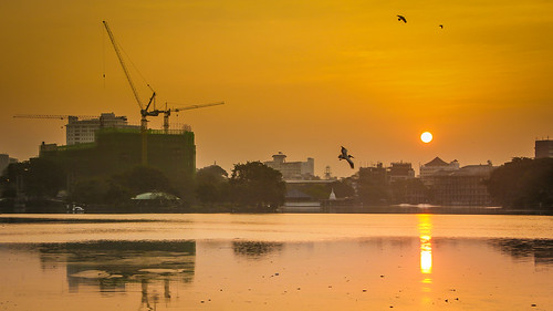 colombo srilanka dawn sunrise sun construction lake beira water bird pelican crow kolpitty morning sunny bright