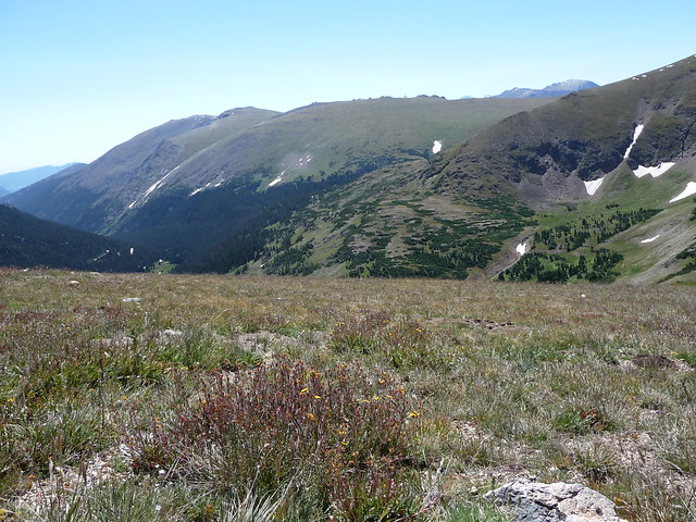Alpine Ridge Trail at Rocky Mountain NP, CO
