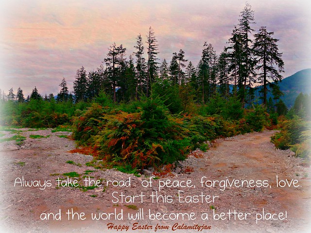 always choose peace, forgiveness , love