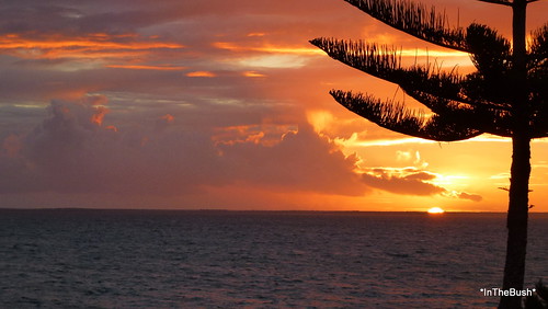 sunset sky clouds southaustralia 2012 ceduna norfolkislandpine