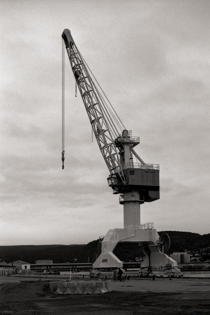 Henrik the crane