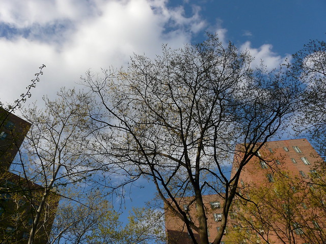 Blue Skies, White Clouds Over Stuyvesant Town
