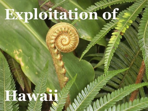 Exploitation of Hawaii's Natural World | by History of Science 134