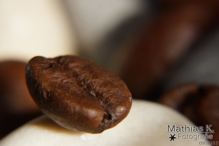Kaffeebohne | Projekt 365 | Tag 95