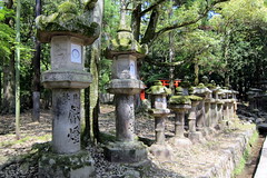 Nara: Kasuga-taisha