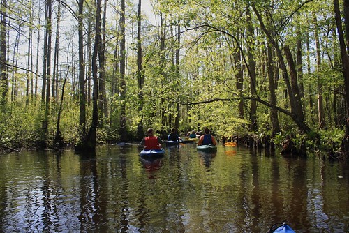 water river virginia kayak chesapeakebay tributary dragonrun
