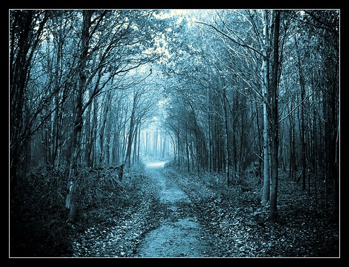ein langer Weg - magical path by NPPhotographie