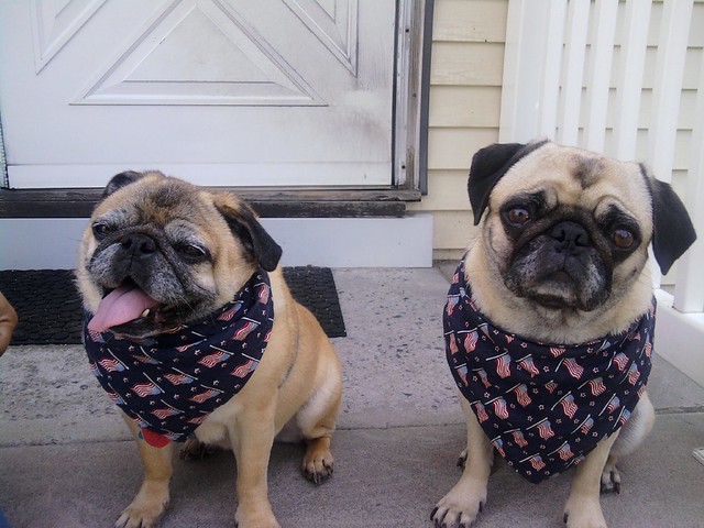 Cassie & Zoe Dressed For The Fourth