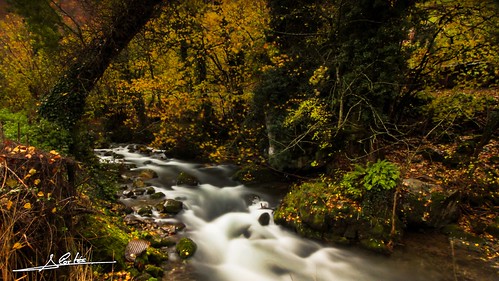 veigas agua otoño saliencia río asturias