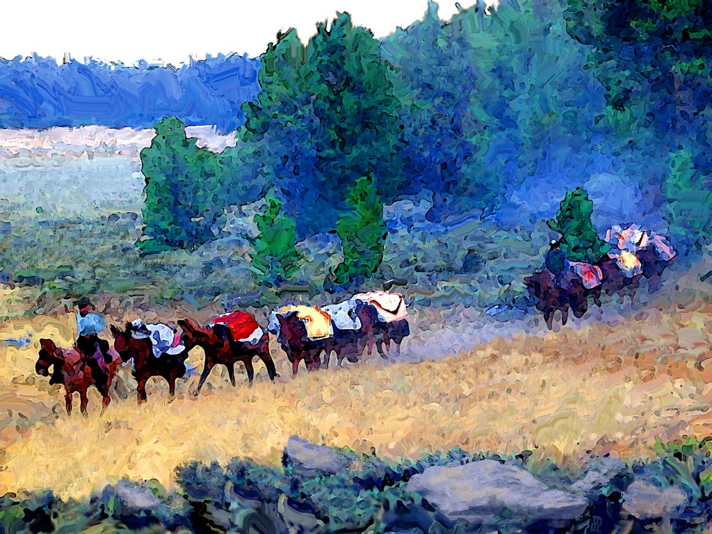 Mule Train with Colorful Blankets, Old Spanish Trail, 1830… Flickr