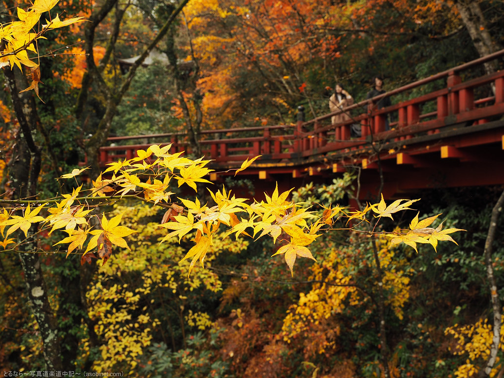 E-M1-100101 | OLYMPUS DIGITAL CAMERA | torunara photo | Flickr