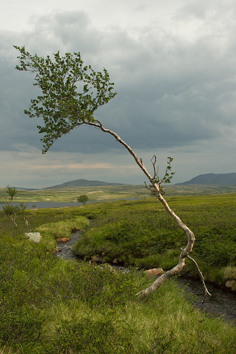 Finnmark 2011 | by wstryder
