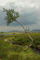 Finnmark 2011