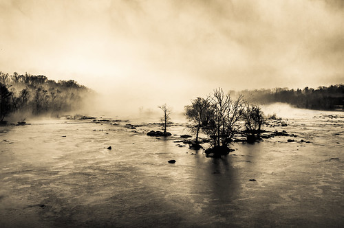 trees winter wild usa mist weather misty fog river landscape photography virginia raw day cloudy bare richmond va rva waterscape wx