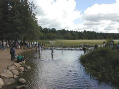 Mississippi Headwaters - Lake Itasca