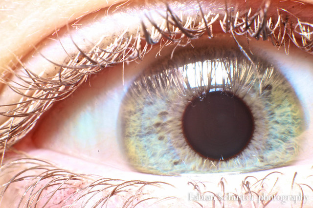 Macro close-up of a blue-green iris with a dark pupil, framed by long eyelashes and bright reflections on the cornea.