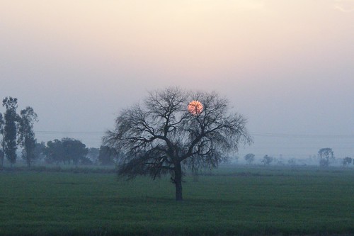 sunset driving back to Delhi by LaylaLee, sunset india