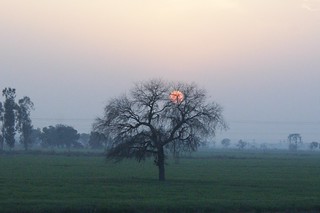 sunset driving back to Delhi