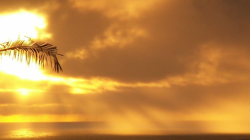 ocean sunrise hawaii bigisland sunbeams 6252013
