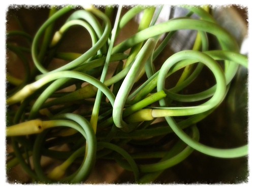 Scapes! | by Rick Scully