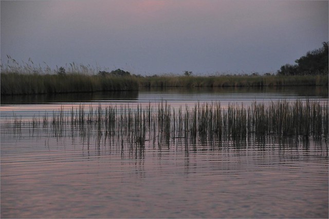 dusk at the Delta