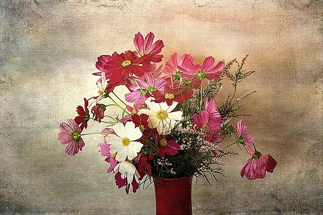 Floral composition with cosmos