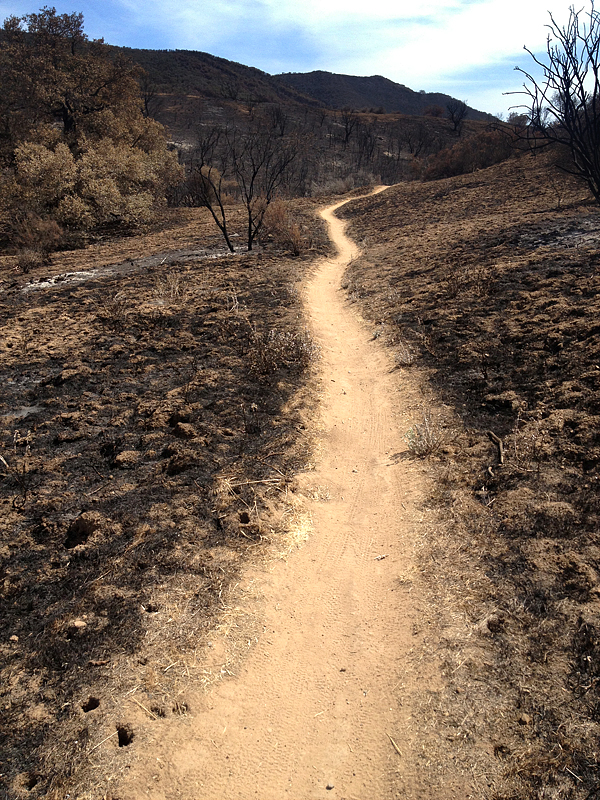Sage Trail