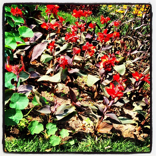 #photooftheday#instagramband #webstagram#gf_daily #igers  #contestday #porusski #igerspescara #instaddict  #instadaily #instamania #igers_russia #instagramhub #instagood #iphonesia #instafamous #all_shots  #inhil_community #gf_russia  #GCS #gang_family #d | by happycoffeesoul