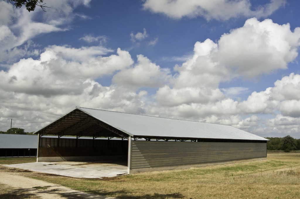 Large Poultry House photo 2