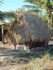 Thatched shelter - Tejaban con techo de palma; cerca de San Pedro Huilotepec, Región Istmo, Oaxaca, Mexico